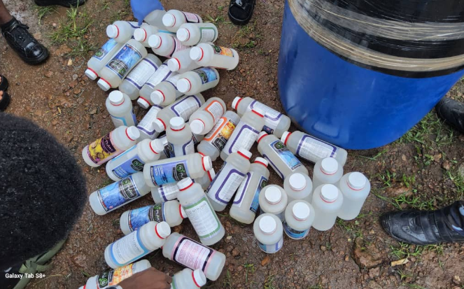 Illicit drugs worth millions of Leones Destroyed at TOCU Headquarters at Hastings – 31st July, 2025.
